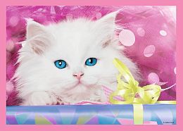 Пазл Trefl 35#48#54#70 деталей: Смешные котята (УЦЕНКА)