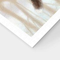 Пазл Pintoo 500 деталей: Джон Сильвер. Бордер-колли