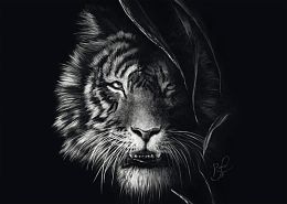 Пазл Schmidt 1000 деталей: Эшли Рейдер. Тигр - воплощение свободы