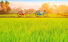 Пазл Pintoo 1000 деталей: Велосипеды. Залитые солнцем зеленые поля