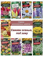 Многолетники Осень №2
