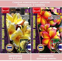 Семена комнатных цветов Плюмерия