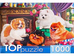 Пазл TOP Puzzle 1000 деталей: Игривые шпицы (УЦЕНКА)