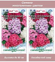 Семена многолетних цветов Флокс