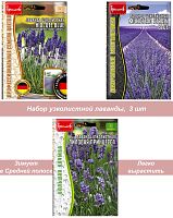 Лаванда узколистная