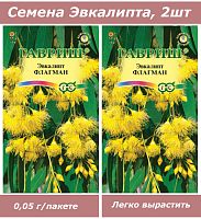 Семена, набор семян комнатных цветов Эвкалипт