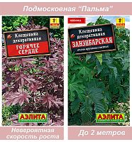 Клещевина Аэлита