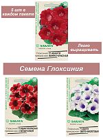 Набор семян, семена комнатных цветов Глоксиния