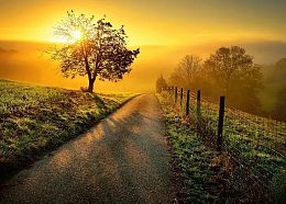 Пазл Ravensburger 1000 деталей: Пейзаж в утреннем солнце