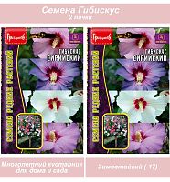 Гибискус