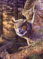 Пазл Cobble Hill 1000 деталей: Вечерний охотник