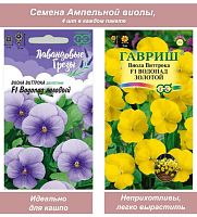 Ампельная виола