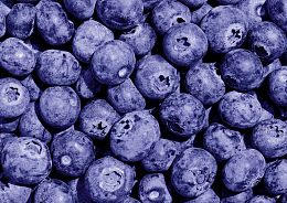 Пазл Фрея 500 деталей: Черничное настроение