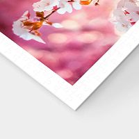 Пазл Pintoo 500 деталей: Сиба среди цветов