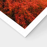 Пазл Pintoo 1000 деталей: Киёмидзу-дэра. Киото, Япония