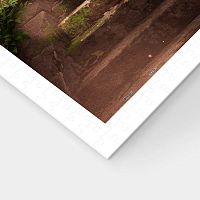 Пазл Pintoo 1200 деталей: Солнечный душ