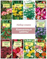 Комнатные №6