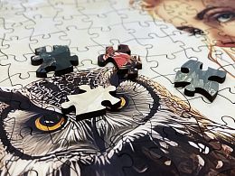 Пазл деревянный Алма 1000 деталей Сказочный мир. Взгляд эльфа