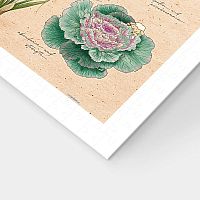 Пазл Pintoo 600 деталей: Mandie. Осенние цветы