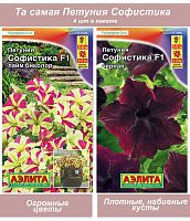 Петуния Софистика