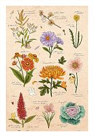 Пазл Pintoo 600 деталей: Mandie. Осенние цветы