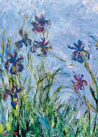 Пазл Eurographics 1000 деталей: Ирисы