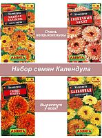 Набор семян, семена цветов Календула