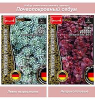 Очиток