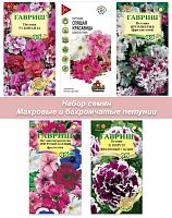 Петуния Махровая №24