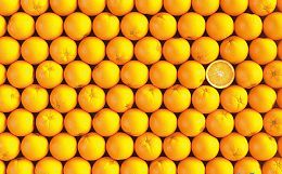 Пазл Pintoo 1000 деталей: Апельсины