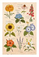 Пазл Pintoo 600 деталей: Mandie. Летние цветы