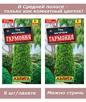 Набор семян, семена туя 2 пакета