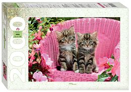 Пазл Step 2000 деталей: Милые котята