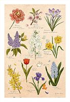 Пазл Pintoo 600 деталей: Mandie. Весенние цветы