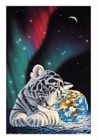 Пазл Pintoo 600 деталей: Шим Шиммель. Северное сияние