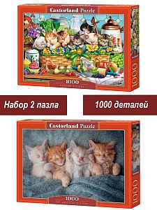 Набор Castorland 1000 деталей: Спящие котята, 2 шт