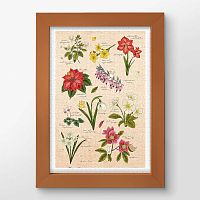 Пазл Pintoo 600 деталей: Mandie. Зимние цветы