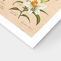 Пазл Pintoo 600 деталей: Mandie. Летние цветы