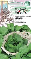 Горчица Прима