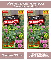 Набор семян, семена комнатных цветов Мимоза, 2 шт