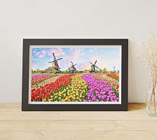 Пазл Pintoo 1000 деталей: Ветряные мельницы Нидерланды