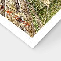 Пазл Pintoo 1200 деталей: Тадаси Мацумото. Осенний сад