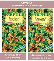 Семена многолетних цветов Очиток