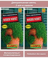 Семена цветов ампельная мята