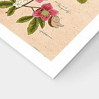 Пазл Pintoo 600 деталей: Mandie. Зимние цветы