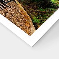 Пазл Pintoo 1000 деталей: Лесной поезд в национальном парке Алишань