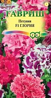Петуния Глория
