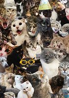 Пазл Фрея 500 деталей: Кошачий беспредел